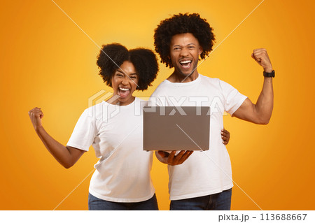 Happy african american man and woman with laptop gesturing Happy african american man and woman with laptop gesturing 113688667
