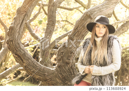 Beautiful autumnal woman in park 113688924