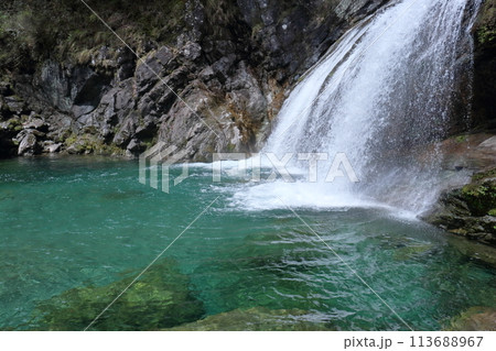 アメガエリの滝 エメラルドグリーンの滝つぼ (高知県 土佐町 瀬戸川渓谷) アメガエリの滝 エメラルドグリーンの滝つぼ (高知県 土佐町 瀬戸川渓谷) 113688967