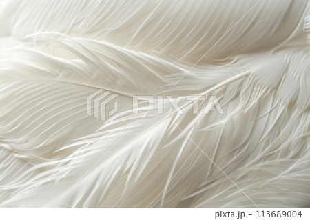 Blurred texture of white feathers with rain drops. Background of lightness and purity Blurred texture of white feathers with rain drops. Background of lightness and purity 113689004