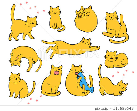 かわいい猫のイラストセット 113689545