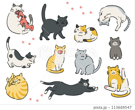 いろんな柄の猫のイラストセット いろんな柄の猫のイラストセット 113689547