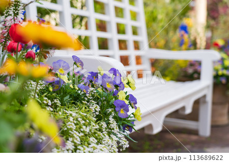 春の久屋大通庭園フラリエ、満開の花々〈愛知県名古屋市〉 113689622