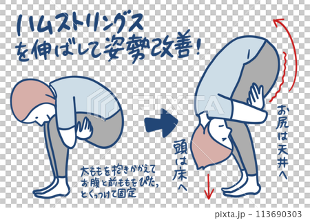 vector, vectors, female 113690303