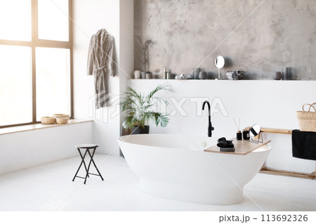 Interior shot of spacious, sunlit bathroom featuring sleek freestanding bathtub Interior shot of spacious, sunlit bathroom featuring sleek freestanding bathtub 113692326