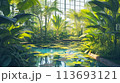 南国の植物や池のある温室 113693121