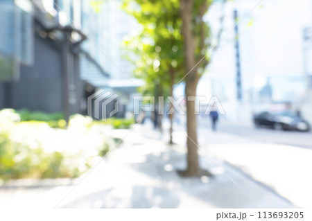 初夏のビジネス街の背景ぼかし 113693205