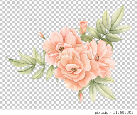 Watercolor Rose Flowers in pastel peach pink colors. Hand drawn floral illustration for wedding invitations or greeting cards on isolated background. Corner botanical composition with green leaves. 113693303