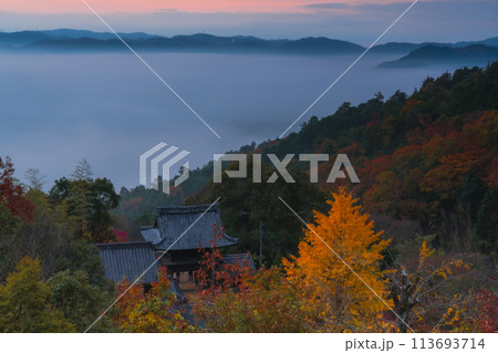 亀岡市稗田野町の山中にある寺院「獨鈷抛山 千手寺(とこなげさん せんじゅじ)」の紅葉を撮影 亀岡市稗田野町の山中にある寺院「獨鈷抛山 千手寺(とこなげさん せんじゅじ)」の紅葉を撮影 113693714