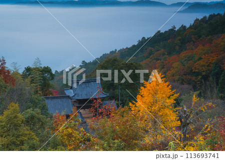 亀岡市稗田野町の山中にある寺院「獨鈷抛山 千手寺(とこなげさん せんじゅじ)」の紅葉を撮影 亀岡市稗田野町の山中にある寺院「獨鈷抛山 千手寺(とこなげさん せんじゅじ)」の紅葉を撮影 113693741