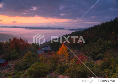 亀岡市稗田野町の山中にある寺院「獨鈷抛山 千手寺（とこなげさん　せんじゅじ）」の紅葉を撮影 113693756