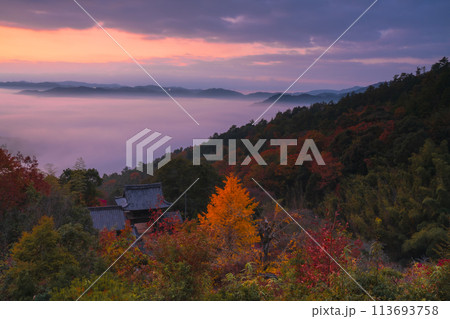 亀岡市稗田野町の山中にある寺院「獨鈷抛山 千手寺（とこなげさん　せんじゅじ）」の紅葉を撮影 113693758