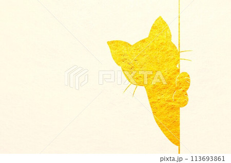 猫が覗くポストカード 113693861