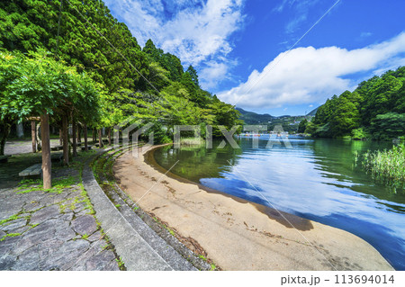 夏の恩賜箱根公園　芦ノ湖の入り江の風景【神奈川県・箱根町】 113694014