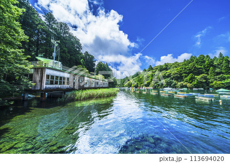 青空広がる夏の芦ノ湖 湖畔の風景【神奈川県・箱根町】 青空広がる夏の芦ノ湖 湖畔の風景【神奈川県・箱根町】 113694020