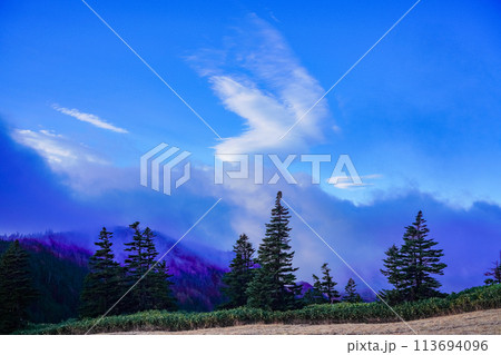 （群馬県）志賀高原・渋峠の夜明け 113694096