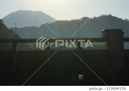三瓶ダム堤体と三瓶山 113694158