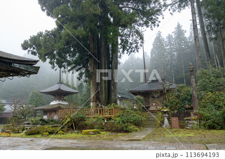 高野山 雨に煙る金剛三昧院 国宝多宝塔と六本杉、経蔵 和歌山県 高野山 雨に煙る金剛三昧院 国宝多宝塔と六本杉、経蔵 和歌山県 113694193