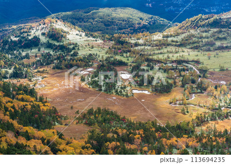 （群馬県）渋峠から望む、紅葉した芳ヶ平湿原 113694235