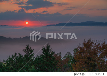 亀岡市稗田野町の山中にある寺院獨鈷抛山 千手寺から臨む雲海 113694431