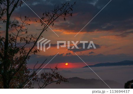 亀岡市稗田野町の山中にある寺院獨鈷抛山 千手寺から臨む雲海 113694437