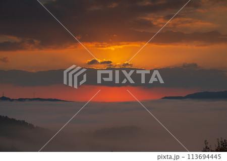 亀岡市稗田野町の山中にある寺院獨鈷抛山 千手寺から臨む雲海 113694445