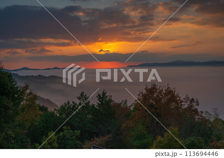 亀岡市稗田野町の山中にある寺院獨鈷抛山 千手寺から臨む雲海 113694446