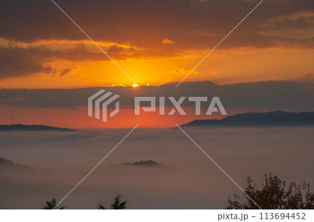 亀岡市稗田野町の山中にある寺院獨鈷抛山 千手寺から臨む雲海 113694452