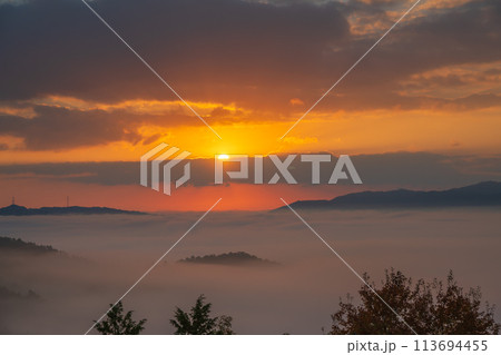 亀岡市稗田野町の山中にある寺院獨鈷抛山 千手寺から臨む雲海 113694455