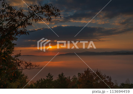 亀岡市稗田野町の山中にある寺院獨鈷抛山 千手寺から臨む雲海 113694459