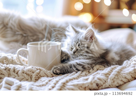 Cozy Kitten Slumbering Peacefully Beside Warm...のイラスト素材 [113694692] - PIXTA