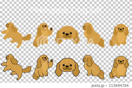 シンプルで可愛いペキニーズのイラストセット シンプルで可愛いペキニーズのイラストセット 113694784