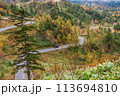 （群馬県）紅葉が美しい志賀草津道路（さわやか街道）つづら折りの万座三差路付近 113694810
