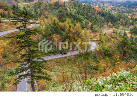 (群馬県)紅葉が美しい志賀草津道路(さわやか街道)つづら折りの万座三差路付近 (群馬県)紅葉が美しい志賀草津道路(さわやか街道)つづら折りの万座三差路付近 113694810