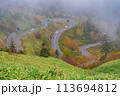 （群馬県）紅葉が美しい志賀草津道路（さわやか街道）　つづら折りの万座三差路付近 113694812