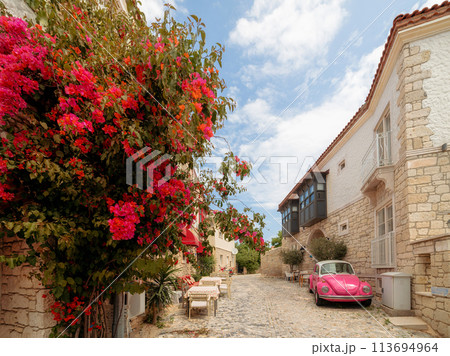 Pink car on a narrow street, Turkey 113694964