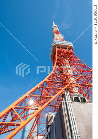 「東京都」快晴の空と東京タワー 「東京都」快晴の空と東京タワー 113695013