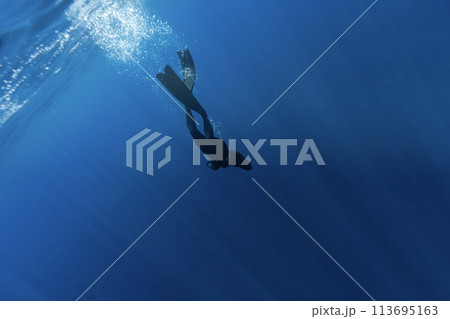 Freediver Swimming in Deep Sea With Sunrays. Young Man Diver Eploring Sea Life. Freediver Swimming in Deep Sea With Sunrays. Young Man Diver Eploring Sea Life. 113695163