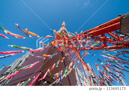 「東京都」快晴の空・東京タワーで泳ぐ鯉のぼり 113695173