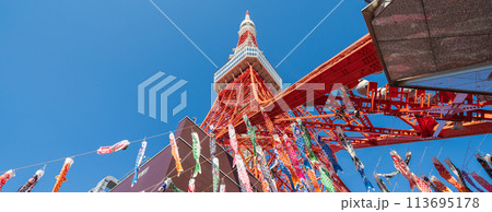 「東京都」快晴の空・東京タワーで泳ぐ鯉のぼり 113695178