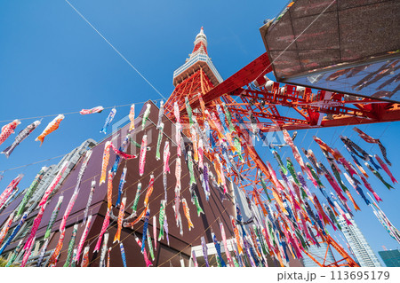 「東京都」快晴の空・東京タワーで泳ぐ鯉のぼり 113695179