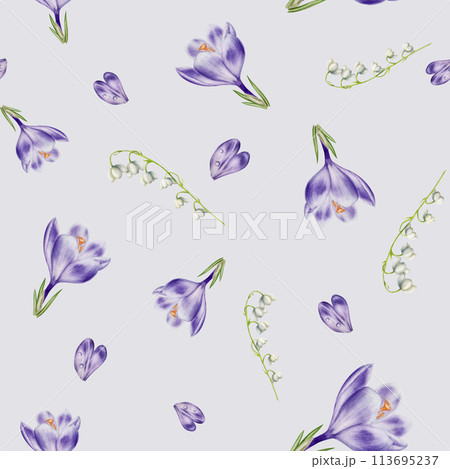 Watercolor seamless pattern with bouquet of violet blooming crocus and lilies of the valley flowers and isolated on background. Spring and easter botanical templates, banner. Hand painted saffron Watercolor seamless pattern with bouquet of violet blooming crocus and lilies of the valley flowers and isolated on background. Spring and easter botanical templates, banner. Hand painted saffron 113695237