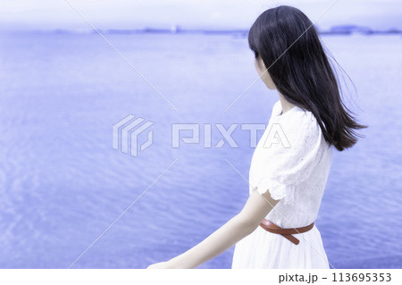 海を散策する白ワンピースの女性 海を散策する白ワンピースの女性 113695353