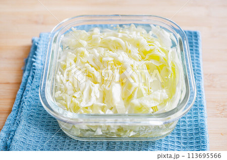 湯通しする春キャベツ 湯通しする春キャベツ 113695566