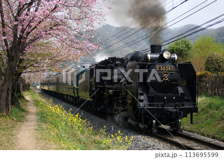 春のSLパレオエクスプレス（SL PALEO EXPRESS） 113695599