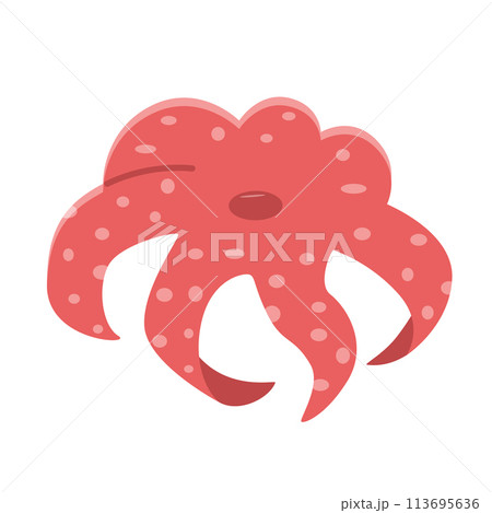Octopus doodle icon. Vector illustration of seafood. Isolated on white. Octopus doodle icon. Vector illustration of seafood. Isolated on white. 113695636