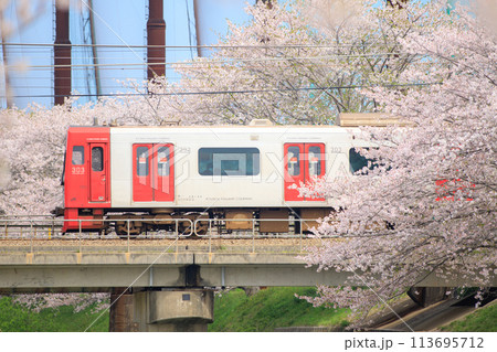 瑞梅寺川の桜と303系電車（JR九州） 113695712