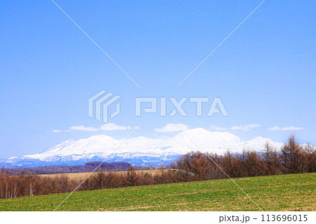 早春の美瑛の丘から見た大雪山系 113696015