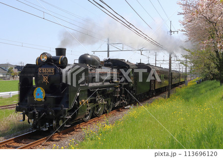 ［CR］秩父鉄道　SLパレオエクスプレス（旧型客車特別運行） 113696120
