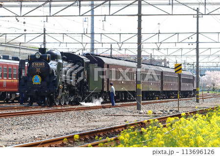 ［CR］秩父鉄道　広瀬川原車両基地にて出庫点検中のSLパレオエクスプレス旧型客車特別運行 113696126